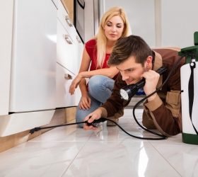 Things to expect from your first Pest Control Service Visit