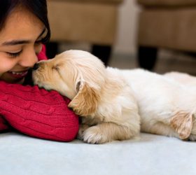 PET NEEDS: MUST-HAVES FOR A PET PARENT